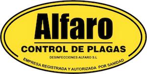 Control de plagas en Madrid